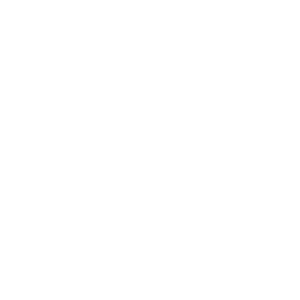 Vanlleef Arpels White