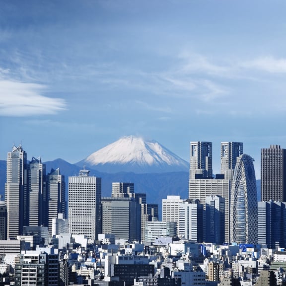 The view over the city of Tokyo