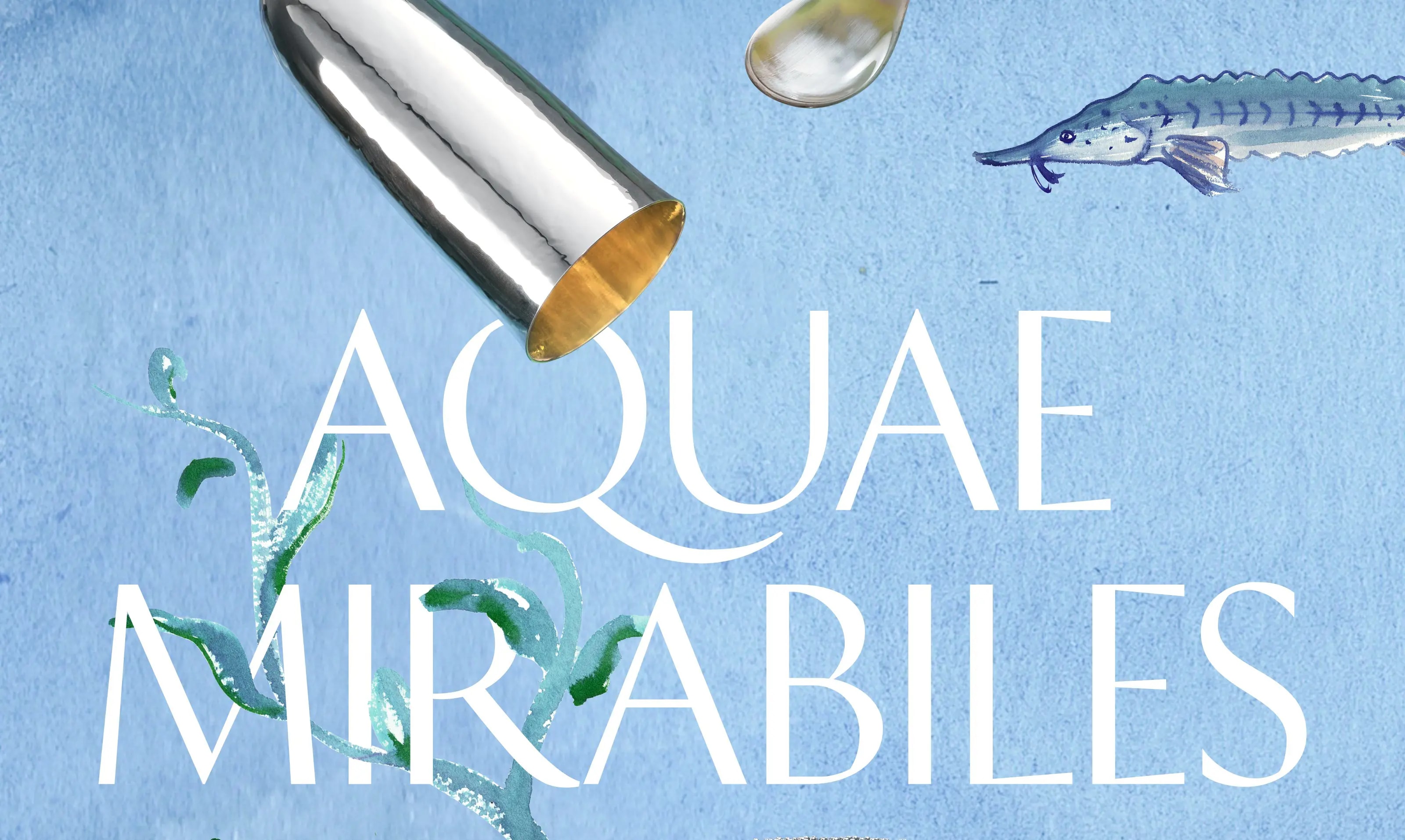 Buccellati Aquae Mirabiles Manifesto Vertical Copy