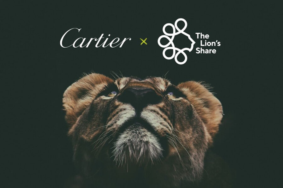 Cartier Lions Share Linkedin