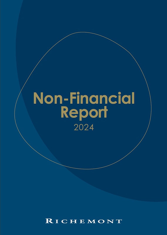 Dark blue cover for Non-Financial Report