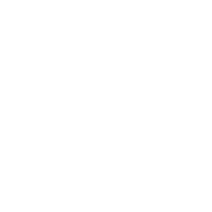 Vacheron Constantin White