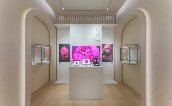 CARD Ruby Exhibition @ Singapore Raffles L'ecole Van Cleef & Arpels (3)Y